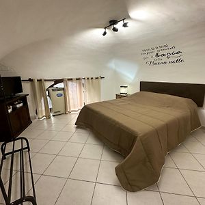 Appartement Standard à 1 Chambre à Coucher