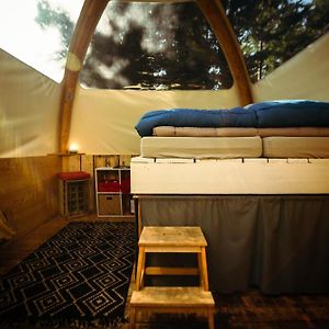 Eco Bivouac Village Igloos Annecy - Le Semnoz - A 20 Minutes D'Annecy