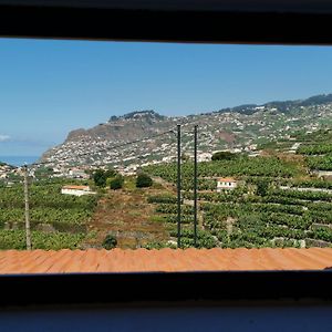 Villa Nova Madeira In Funchal Casa A And B