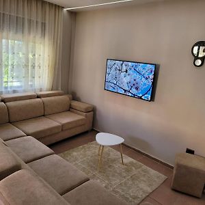 Arti Home At Selvia