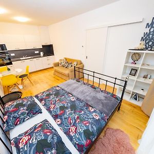 Lovely Studio Apartment, Free Parking 1,55 Hight
