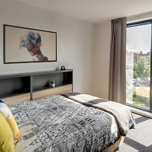 Studio Lit King-Size