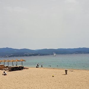 Charmant Studio Neuf Ajaccio Casone - Trottel