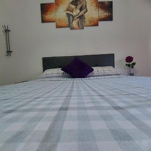 Viive Lavida Rooms Madrid