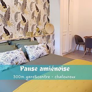 Appartement Studio