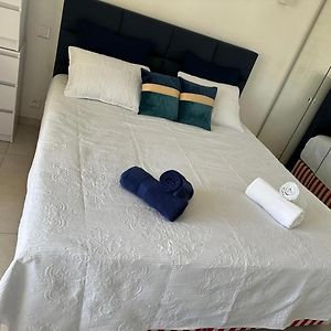 Super Apartment, Parking, Terrace, Lift, Wifi, Palm Beach, Cannes