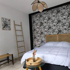 Maison 1 Chambre