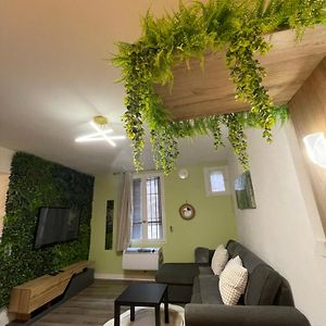 Magnifique Appartement Avignon Intra-Muros