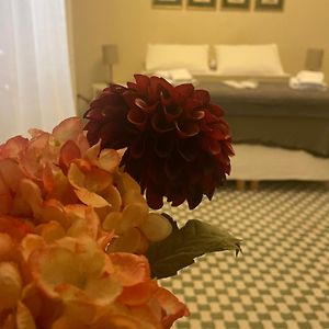 Barrique Guest House