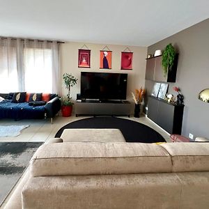 Appartement Climatise 3 Etoiles T3 Chic A Strasbourg Avec Billard Et Terrasse