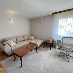 Lugano Couples Quiet Apt W Free Street Parking