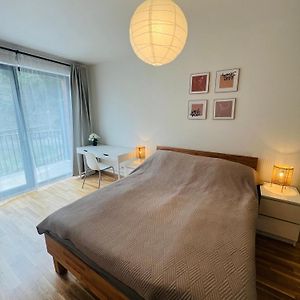 Nika Apartments Prague 5