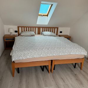 Vitkova Duplex Apartment With Terrace Near Florenc