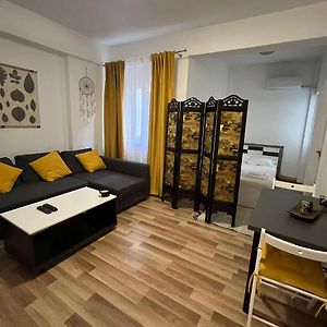Studio Ultracentral Universitate