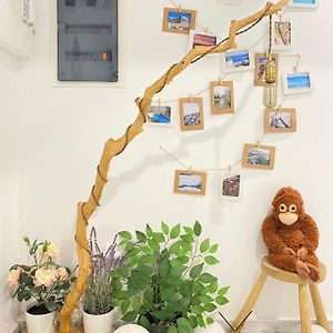 Appartement à 1 Chambre à Coucher