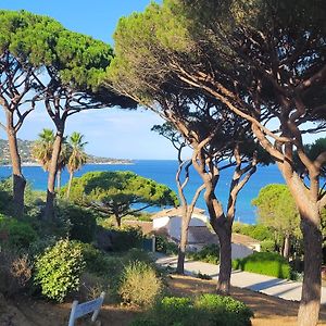 Appartement Vue Mer 200 M Des Plages - Djumbo