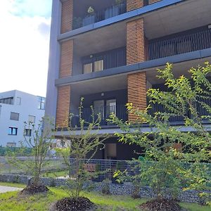 Apartman S Terasou, V Novostavbe