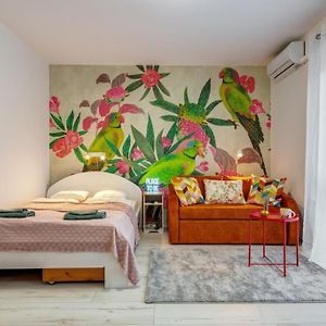 Bohemian Breeze Apartment