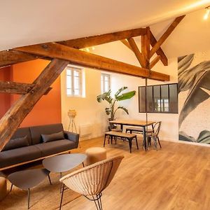 Loft Atelier Hyper Centre Albi