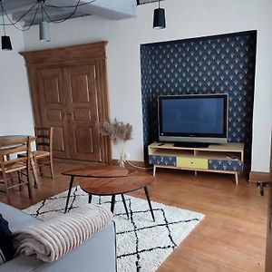 Chaleureux 3 Pieces Au Centre De Selestat