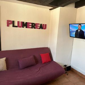 Gites Place Plumereau De Tours