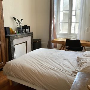 Petit Appartement Douillet, Centre Historique De Dijon