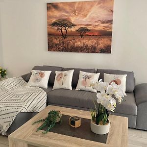Appartement 105M2 Intramuros Centre Ville Avignon