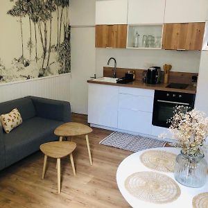 Appartement Triplex Gare Angers