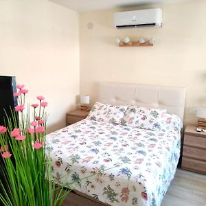 Apartamento Acogedor En Valencia Centro Perfecta Ubicacion