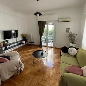 Acropolis 80M2 Friends&Family Olivehome
