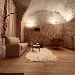 Loft Design Dans Hotel Particulier