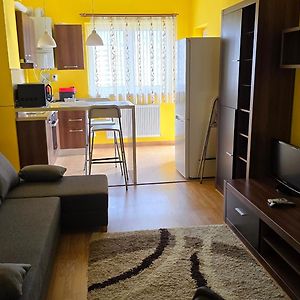 Cosy One Bedroom Apartment
