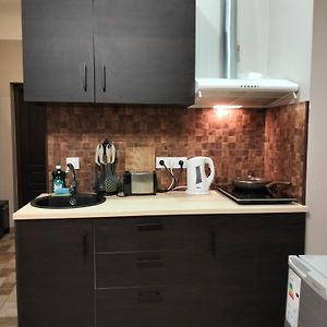 Ludvika Studio Apartment