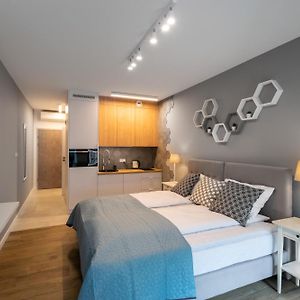Rajska 3 Grey Apartment Krakow City