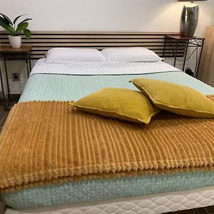 Studio 25M2 En Plein Coeur De Perpignan