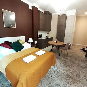 Luxury Apartment - Rakowicka R15