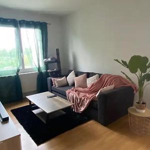 Appartement T2 Entier Et Spacieux Pres Du Centre Historique De Bayonne