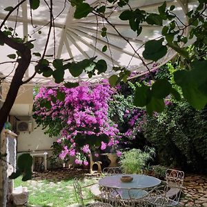 Vatican Fairytale Garden