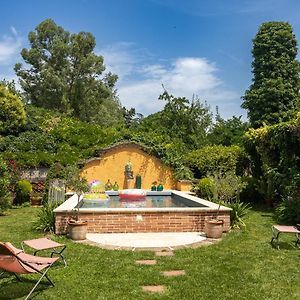 Le Rez de Jardin Albi