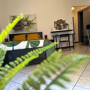 Studio Cosy & Zen Hyeres Centre