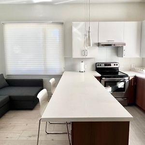 Brand New Modern Laneway House