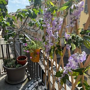 Torino Natura In Centro