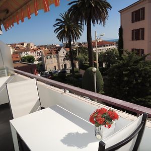 ACCI Cannes Les Yuccas