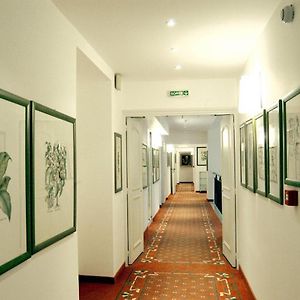 Chambre Supérieure Double