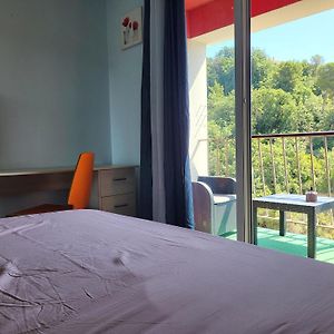 Private Room-2 In Hannana Apartment- 2 Min Walk To Tram 12 Min To Nice Train Station 15 Min To Massena Place