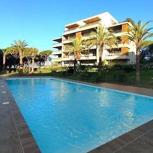 Appartement Neuf Piscine