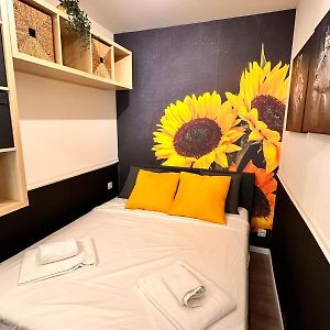 Studio Lit King-Size