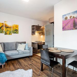 Appartement à 1 Chambre à Coucher