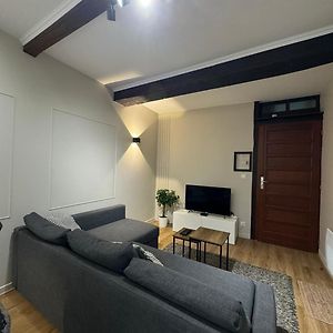 Appartement Charmant Hypercentre Avec Patio Prive Et Parking