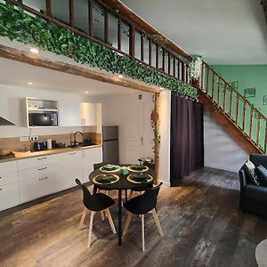 Appartement Jungle Climatise Centre Ville